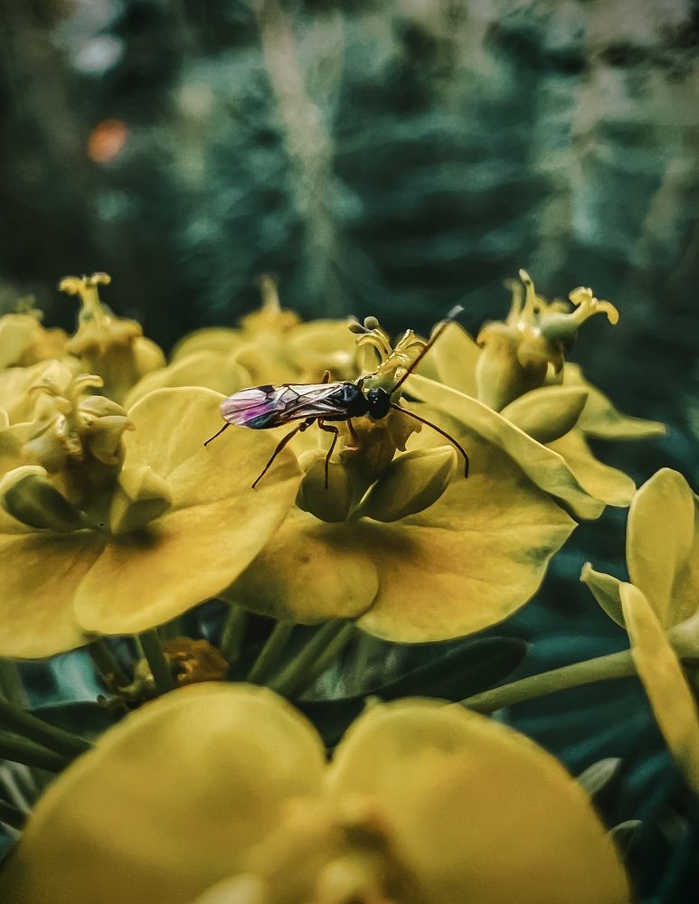 Фотография автора Мария Жукова