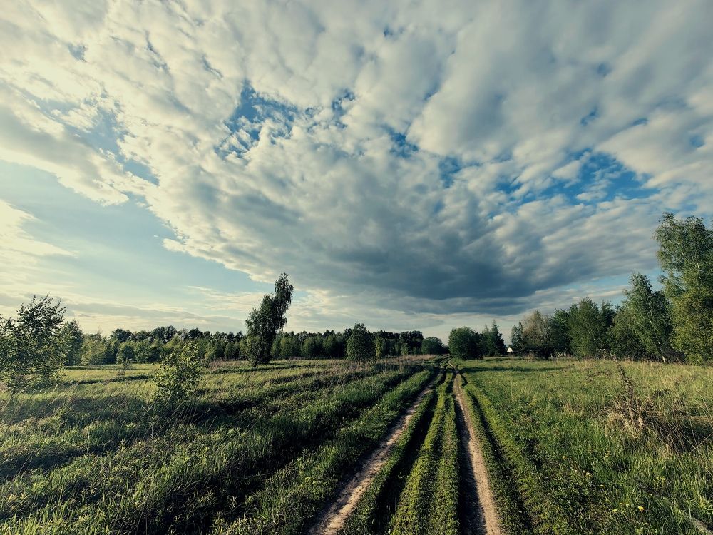 Photograph by Дмитрий Чебанов