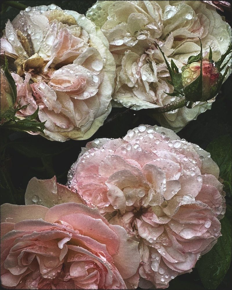 Photograph by Лилия Билалова