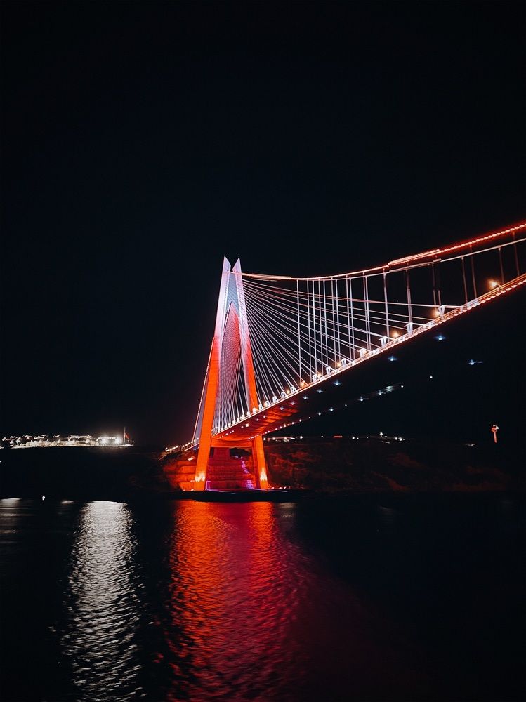 Photograph by Елена Цацулина