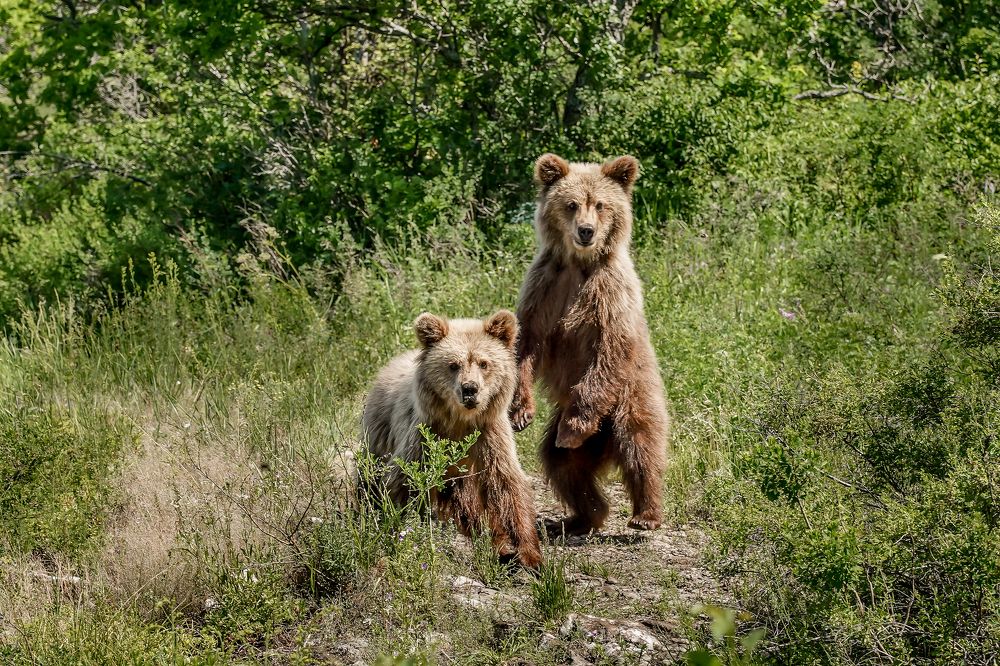 Photograph by Юрий Стекачёв