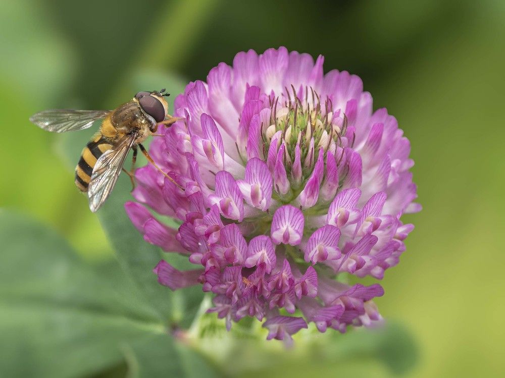 Photograph by Борис Полтавец