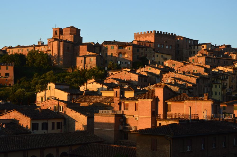 Morning in Sienna