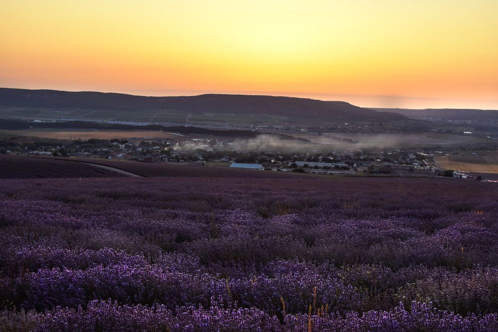 Photograph by Валентина Рябуха