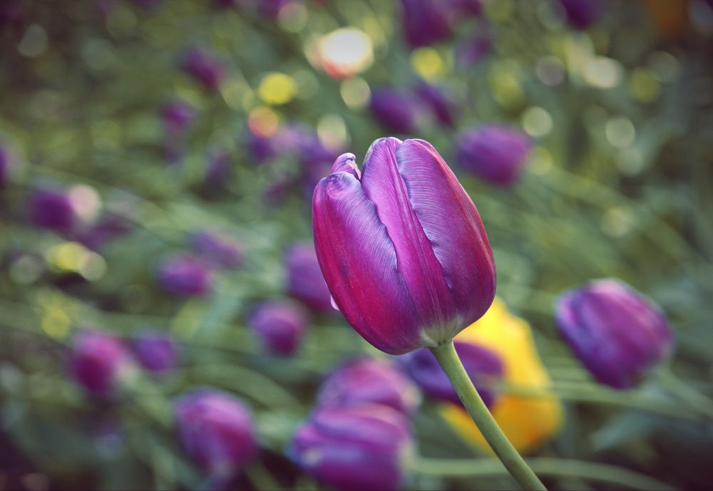 В московском парке.