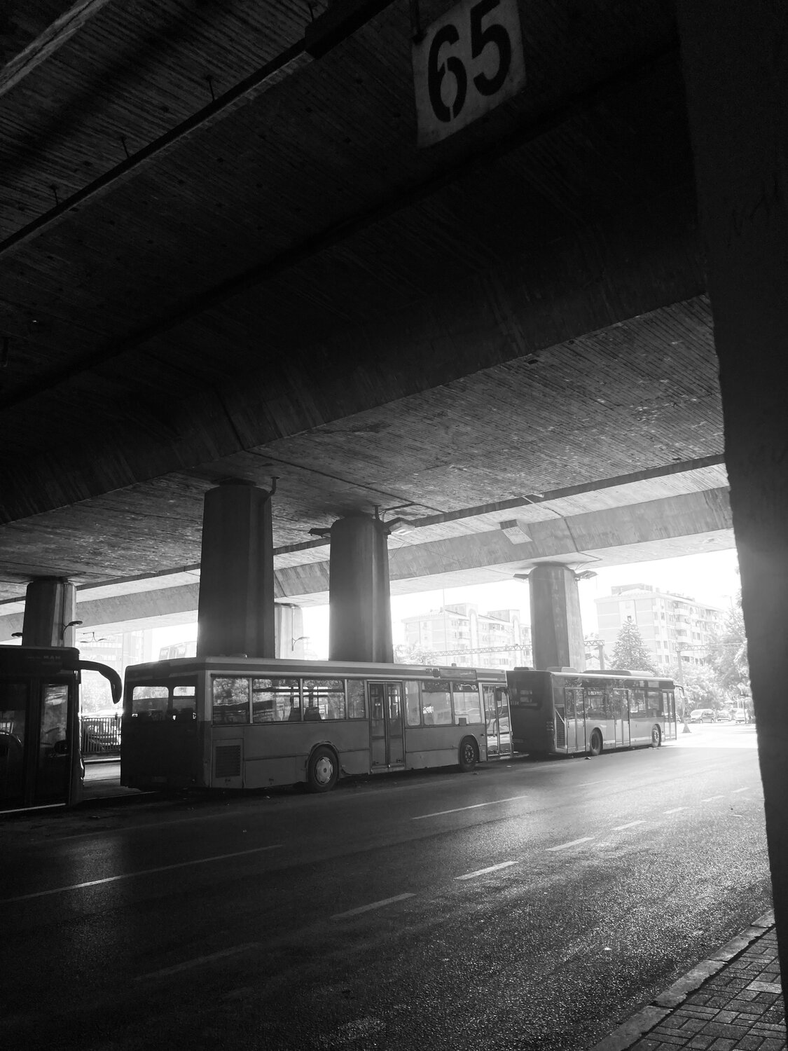 Photo #10919908