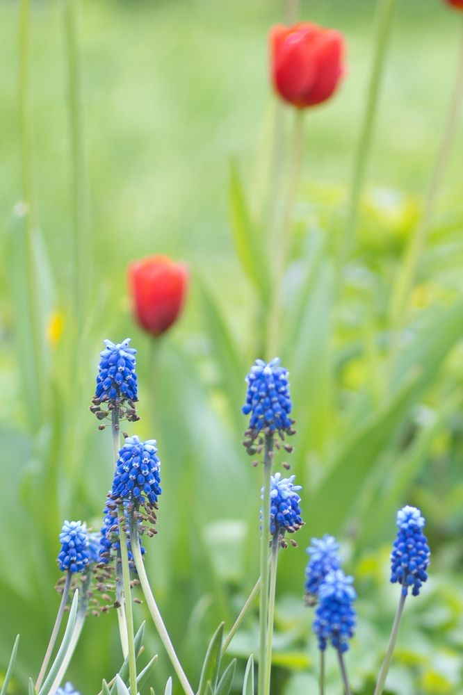 Photograph by Роман Шаров