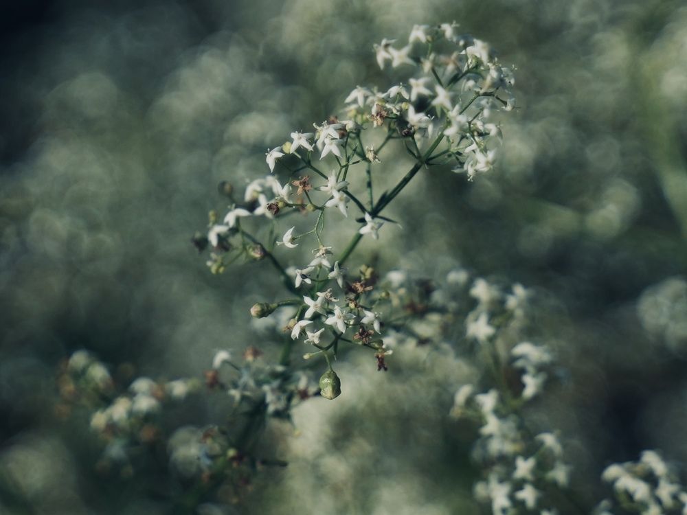 Photograph by Наталья Сережко