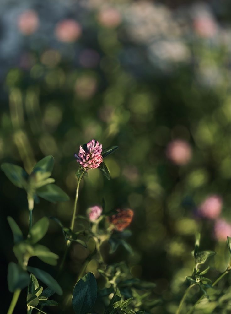 Photograph by Наталья Сережко