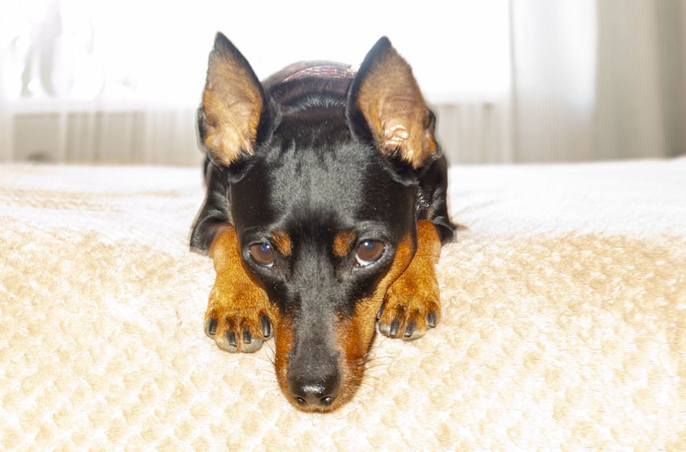 Photograph by Людмила Ваганова