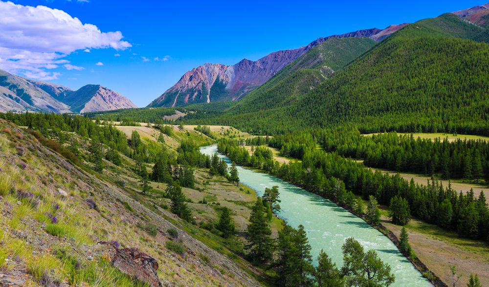 Photograph by Михаил Бояркин