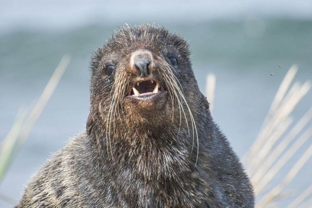 Фотография автора Виталий Филючков