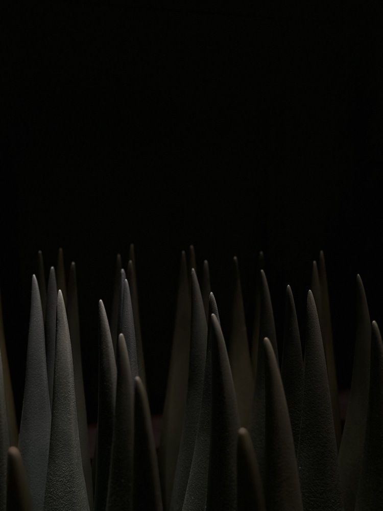 Фотография автора Вера