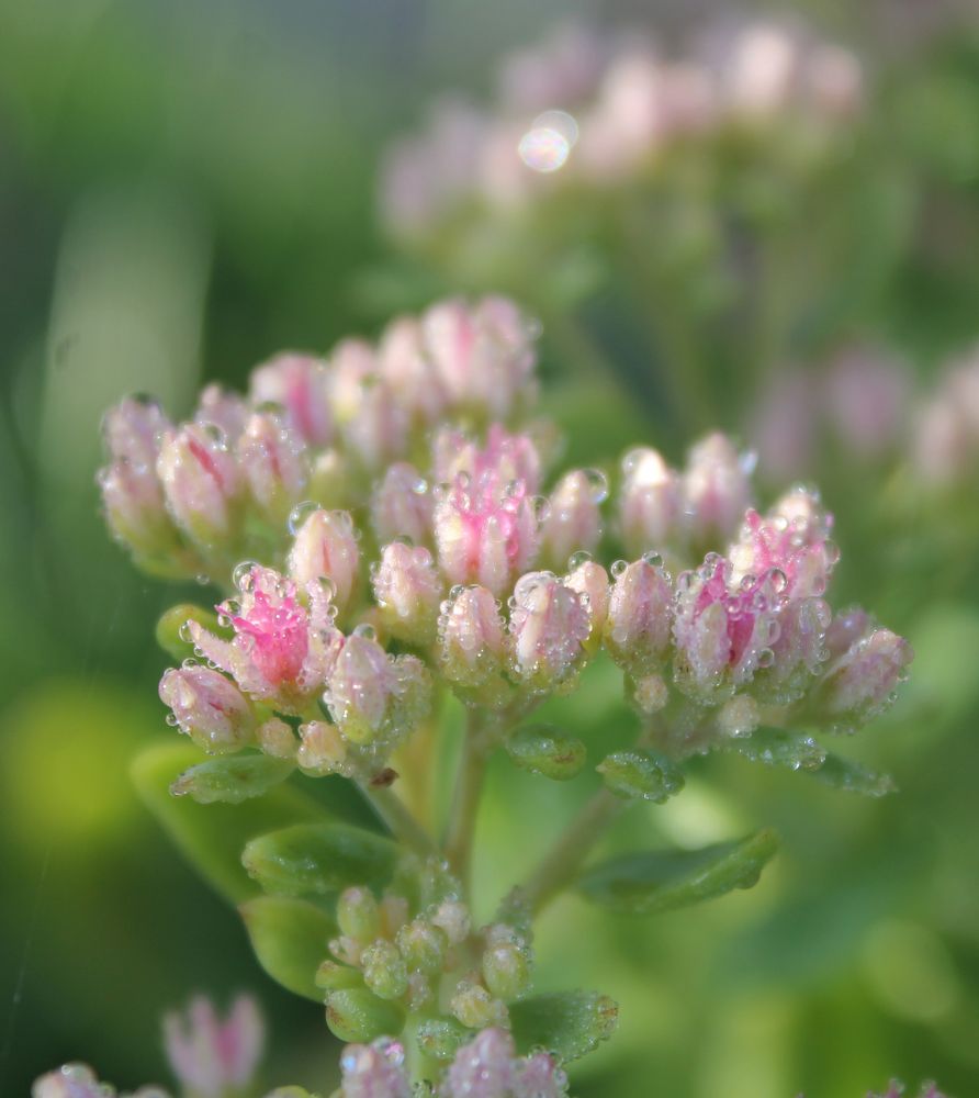 Photograph by Наталья Жигарева