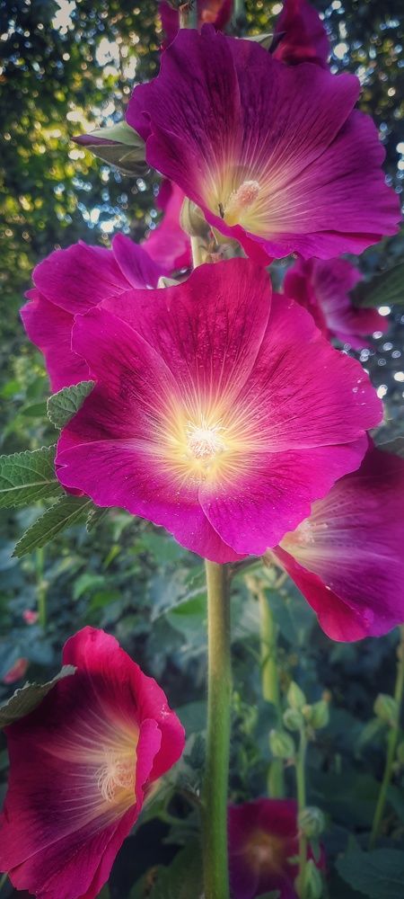 Фотография автора Черепанов Александр