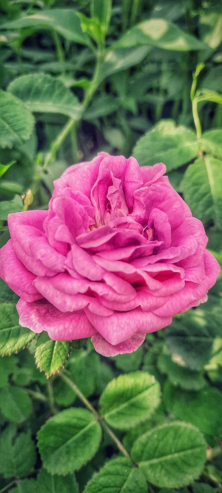 Фотография автора Черепанов Александр