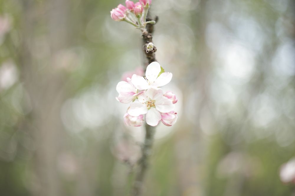 Photograph by Денис Есаков