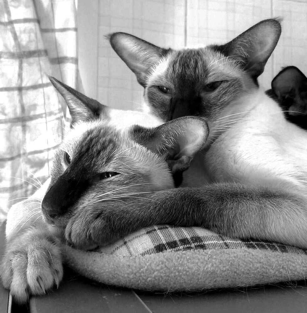 Photograph by Дмитрий Соколов