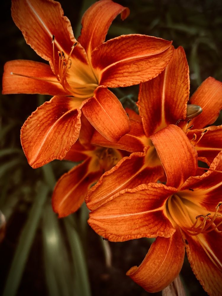 Photograph by Наумова Татьяна