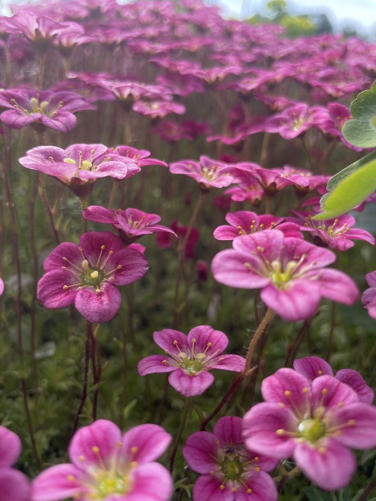 Photograph by Валентина Ивашова