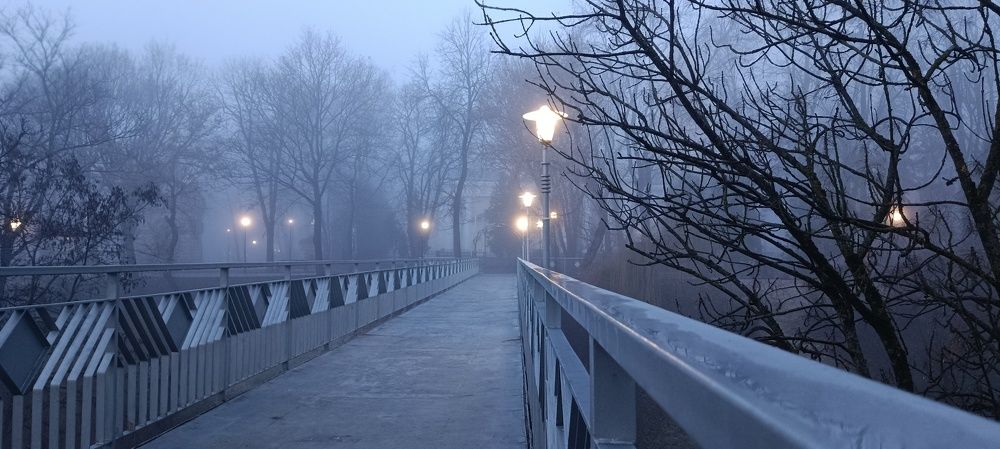 Photograph by Mishel Photographer