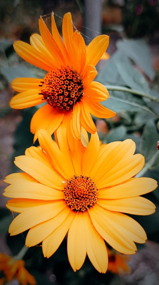 Photograph by Mishel Photographer