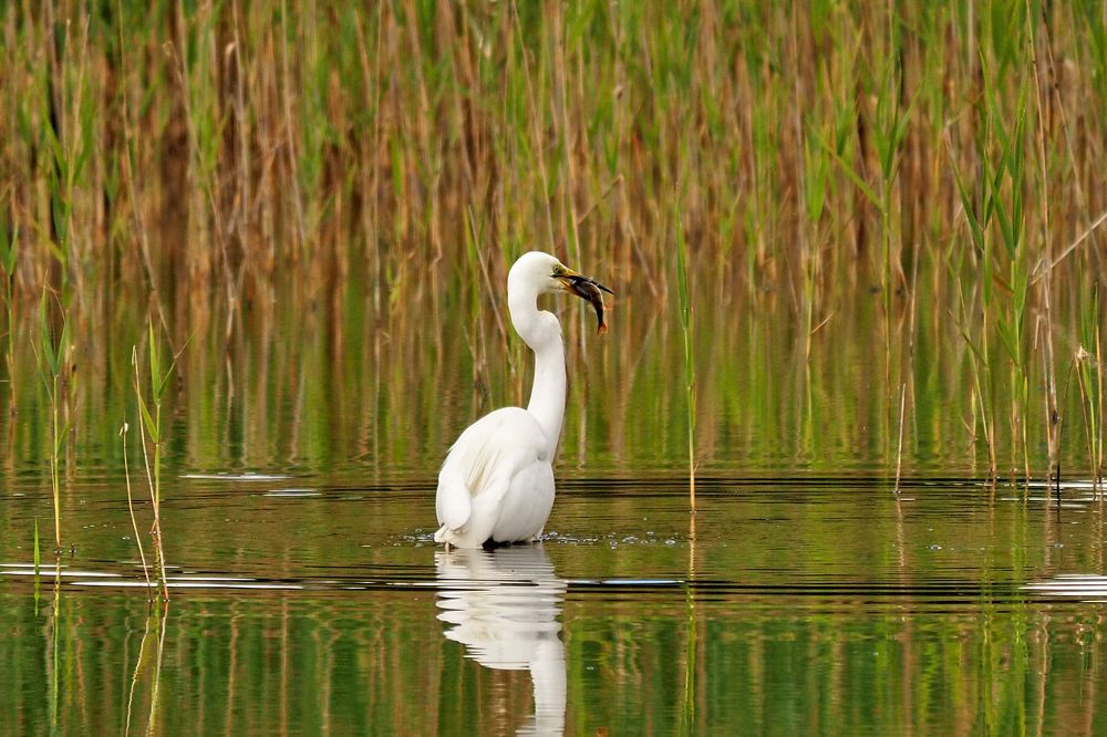 Photograph by Vitalijs Kopa