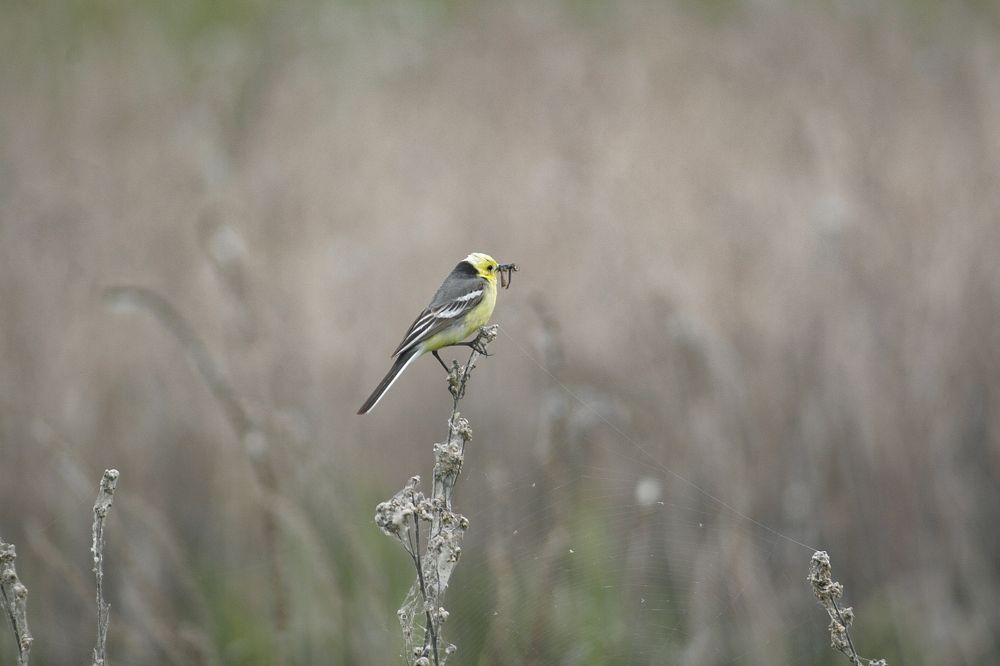 Photograph by Дарья Улюсова