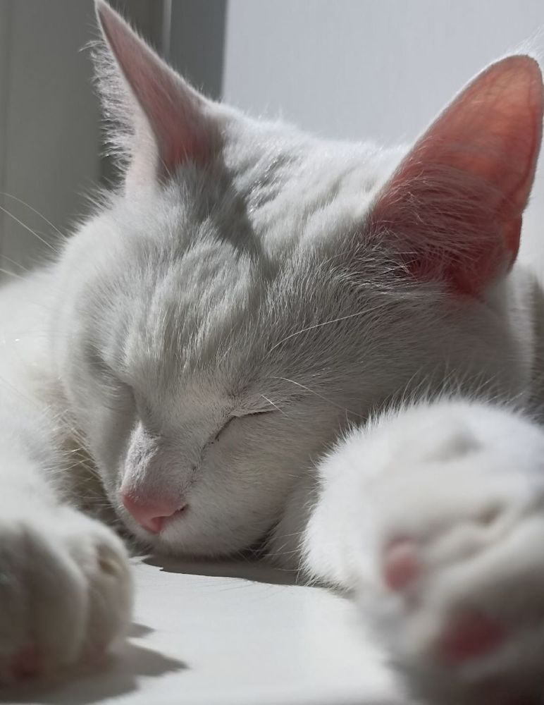 Фотография автора Natalya Firsova