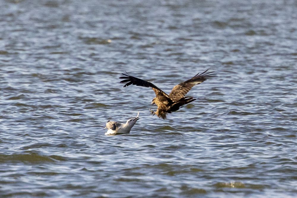 Photograph by Щепанов Дмитрий