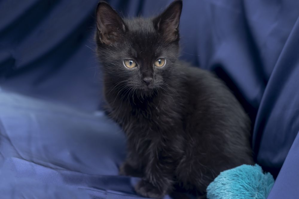 Photograph by Любовь Алексеева