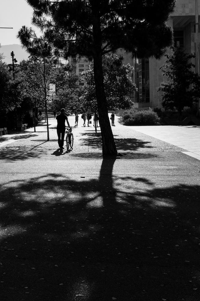 Photograph by Ali Alqassab