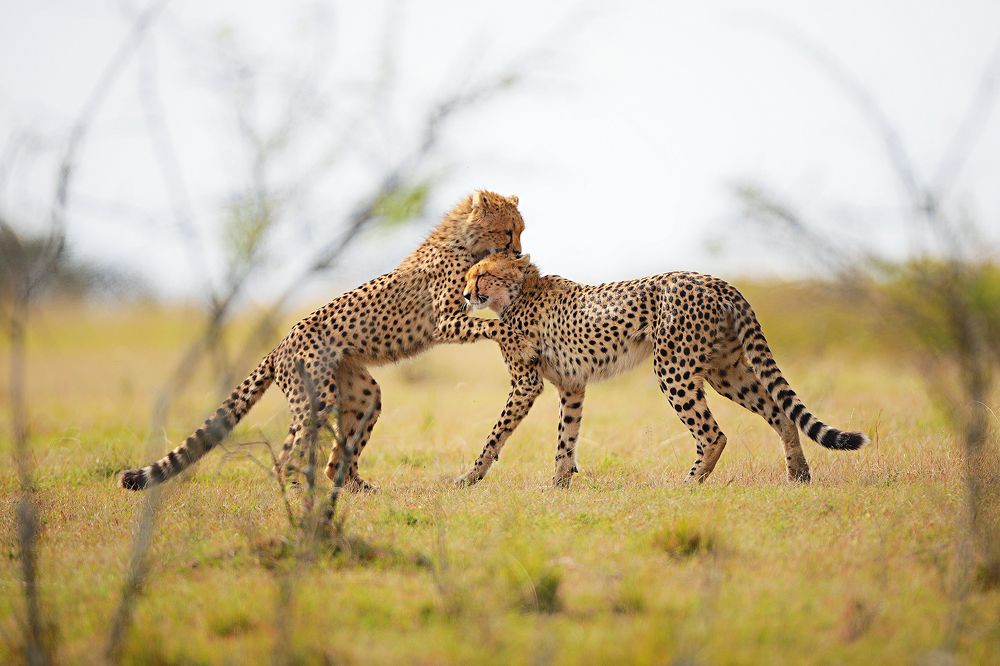 Photograph by Ирина Худзинская