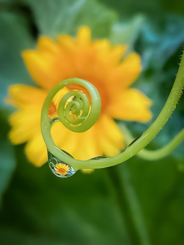 Photograph by Людмила Коныгина