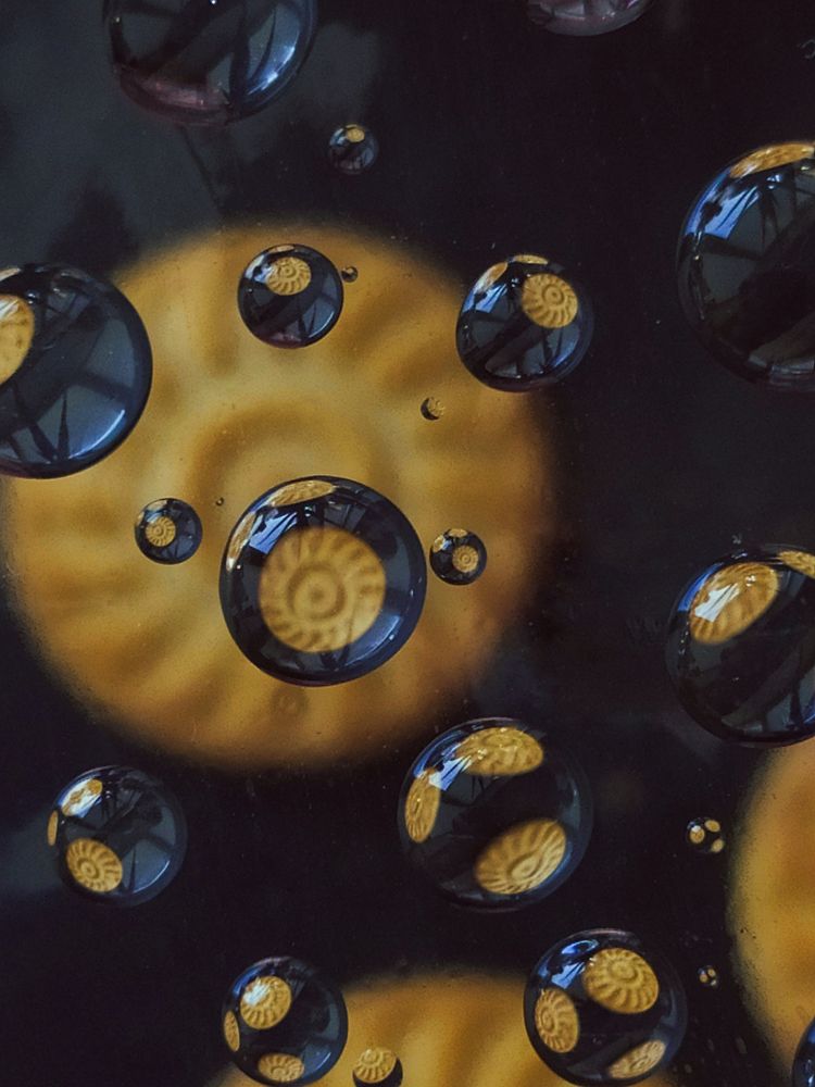 Photograph by Людмила Емельянчикова