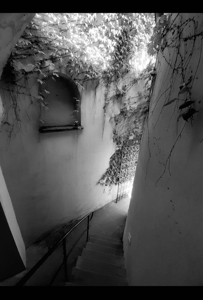 Photograph by Jora