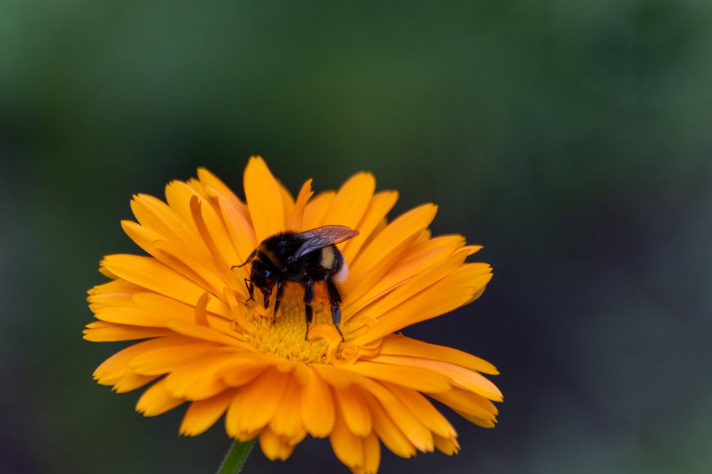 Photograph by Романова Мария