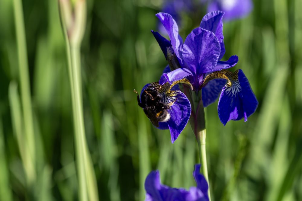 Photograph by Романова Мария