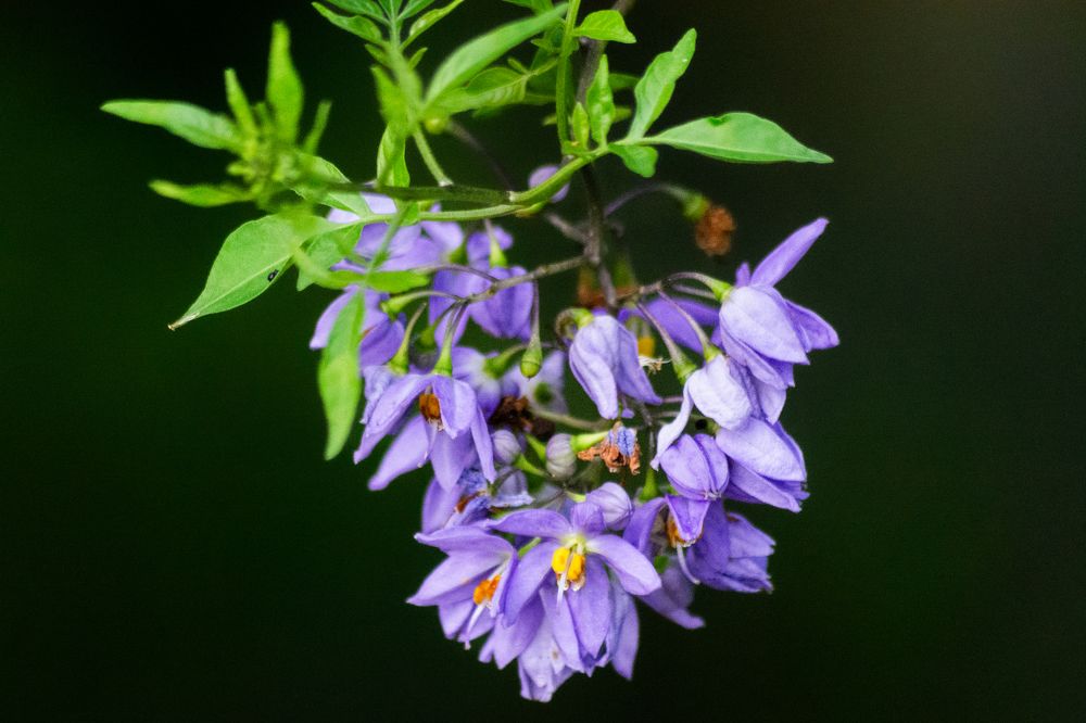 Photograph by Febin Thomas