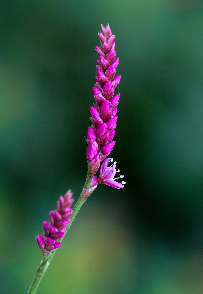 Photograph by Марина Ватанская