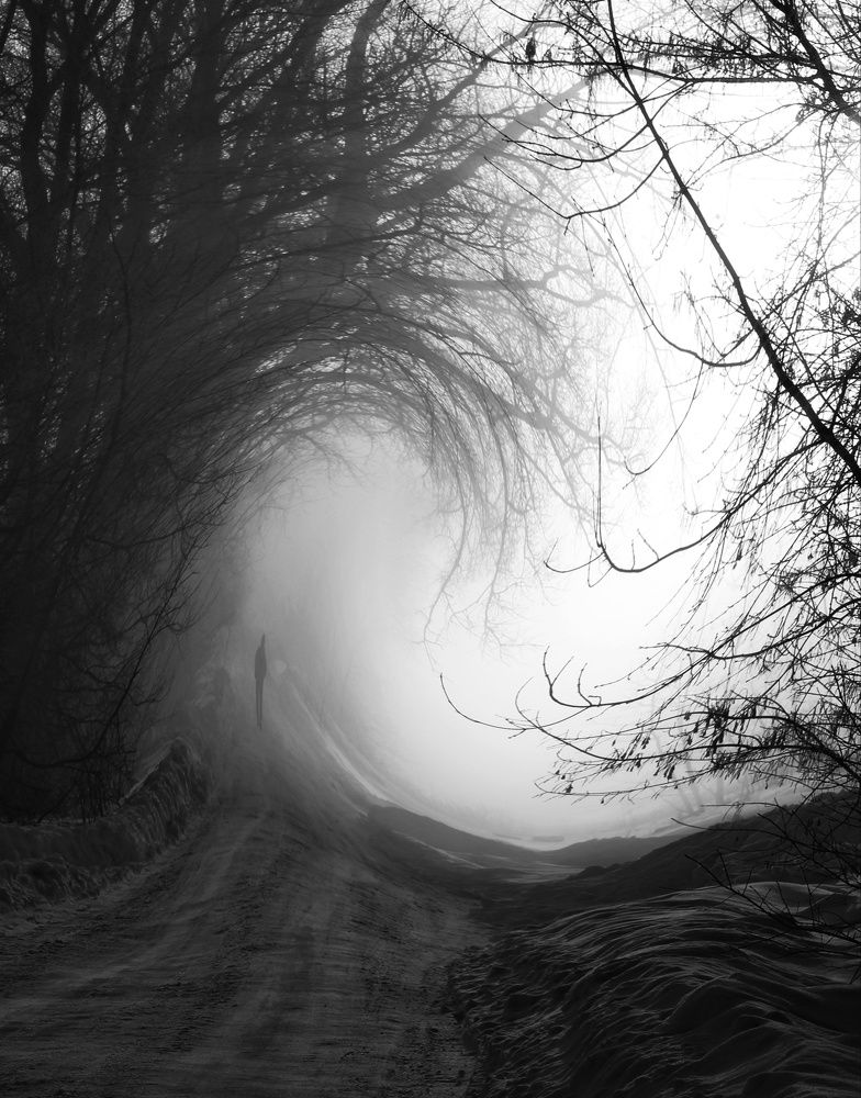 Photograph by Инна Карасева