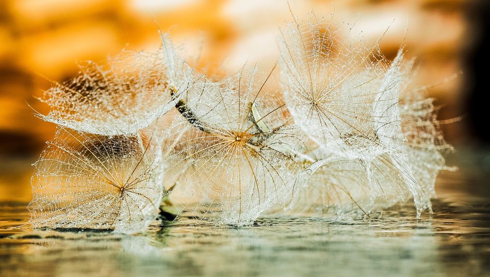 Photograph by Margarita