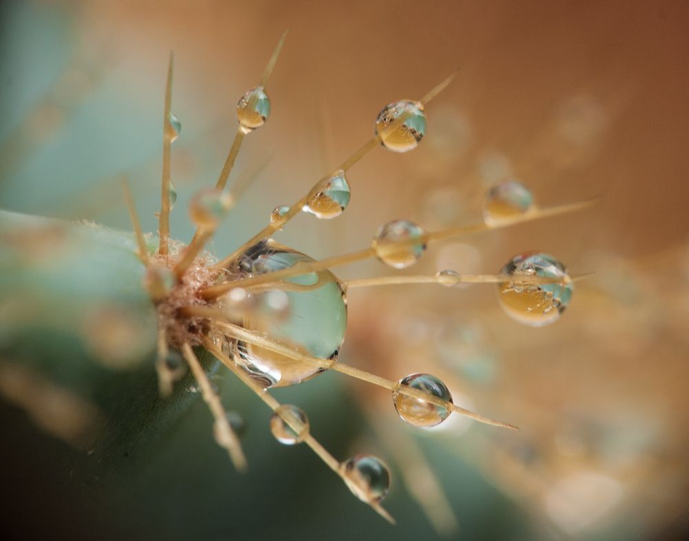 Photograph by Марина Ватанская