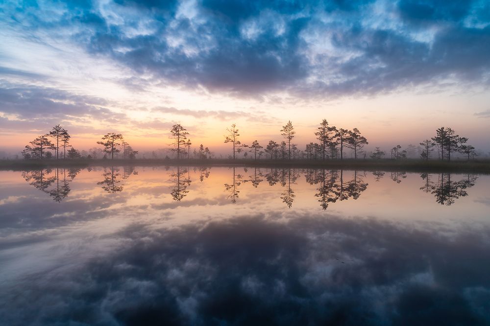 Photograph by Абросимов Александр