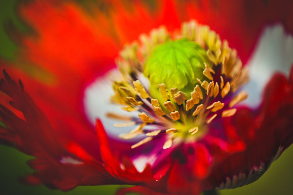 Photograph by Margarita