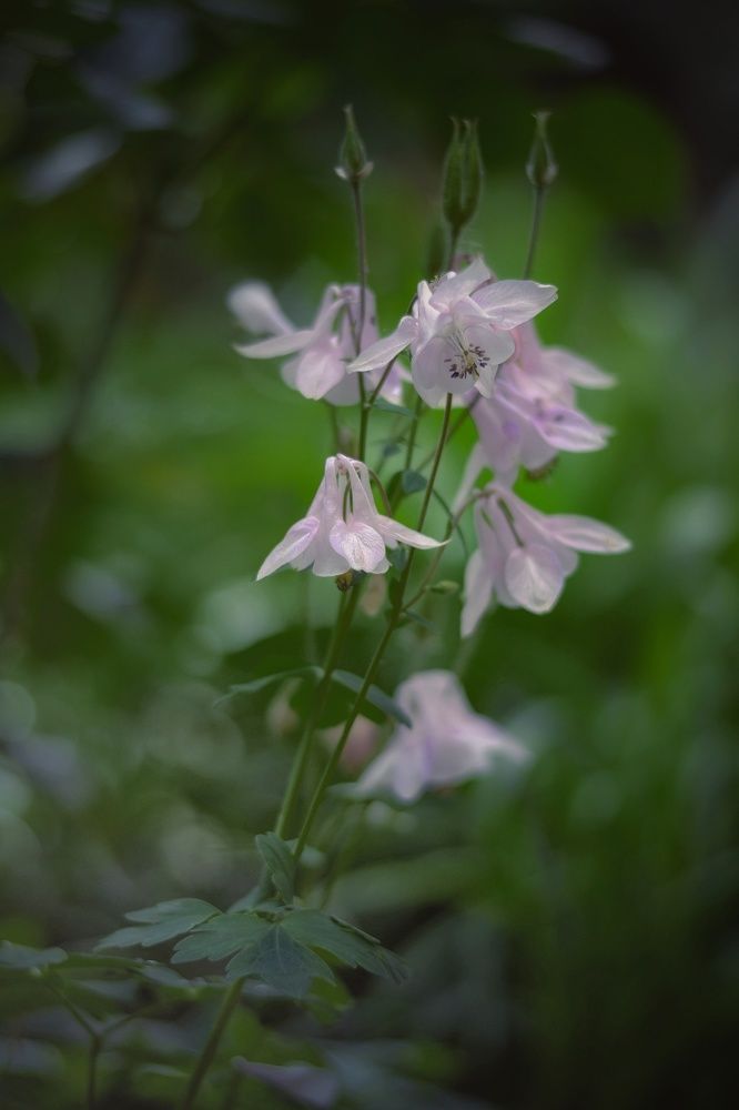 Фотография автора Юлияна Стоянова