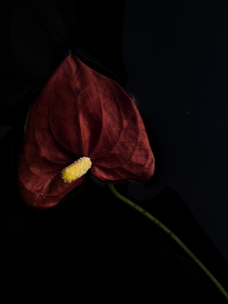 Photograph by Ольга Филатова