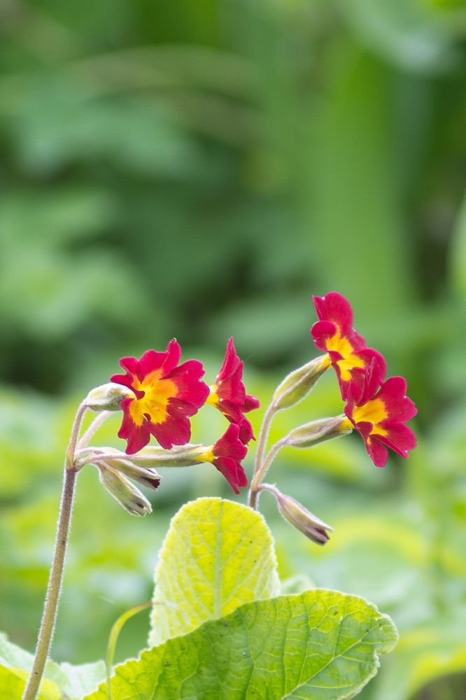 Photograph by Роман Шаров