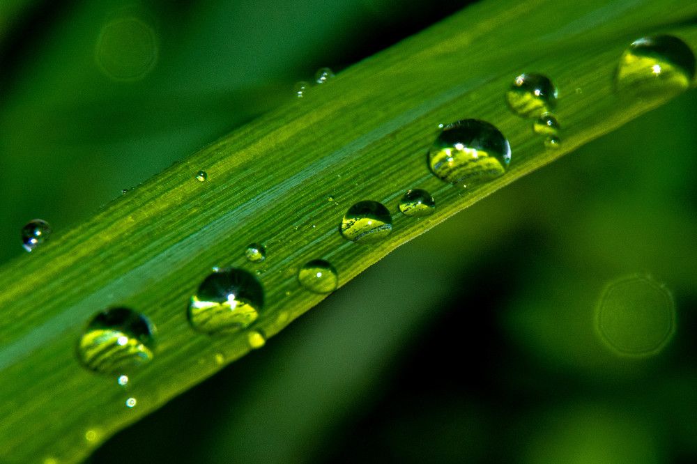 Photograph by Людмила