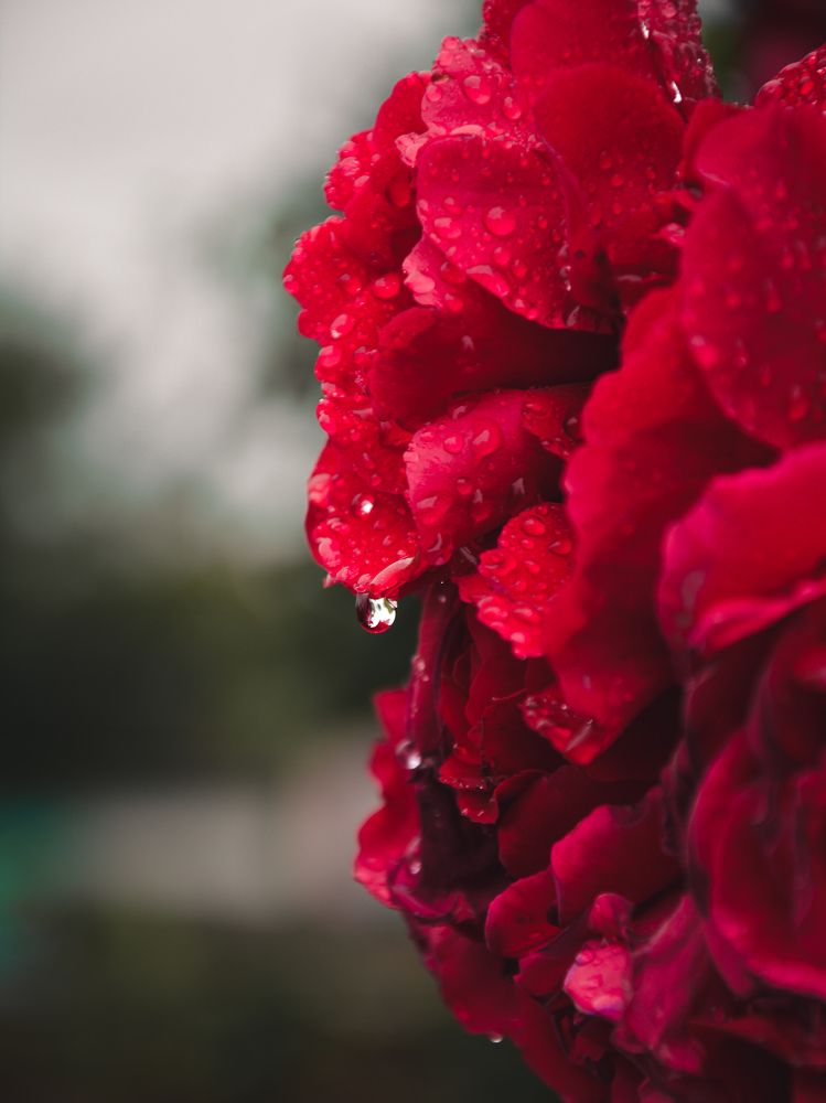 Фотография автора Юлия Казьмина